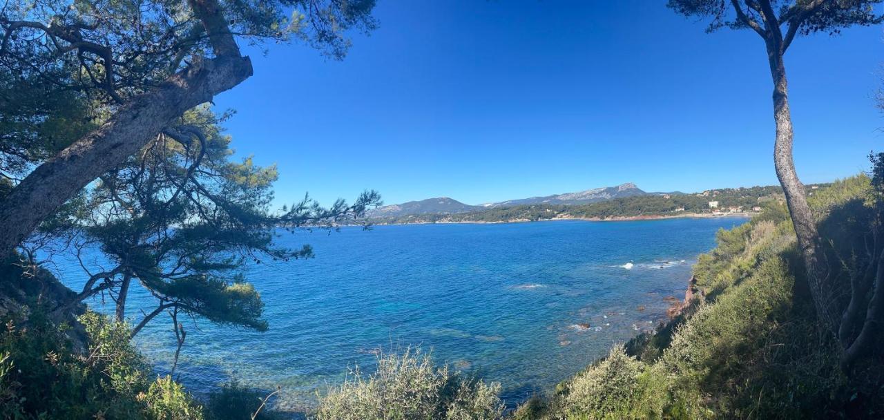 Appartement Cosy Vue Mer A 50 M De La Plage - Refait A Neuf Et Climatise Le Pradet Exteriér fotografie