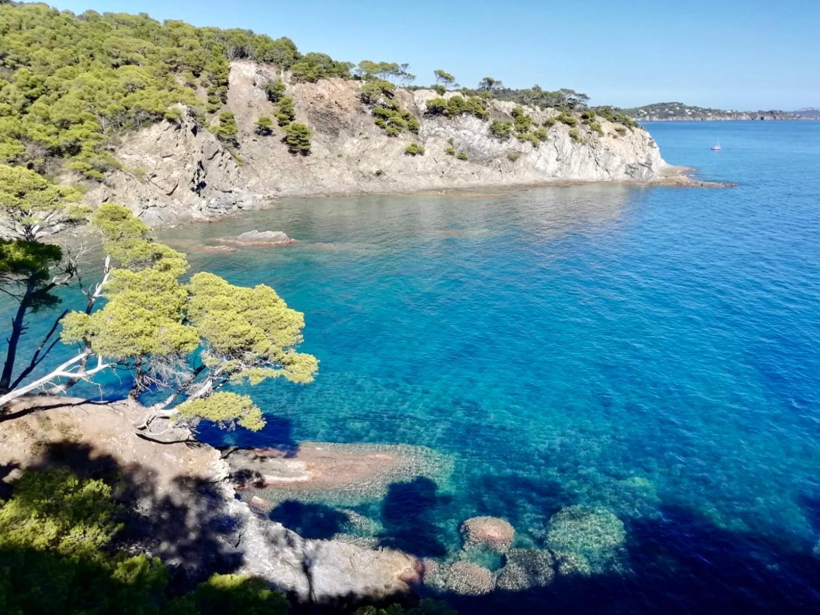 Appartement Cosy Vue Mer A 50 M De La Plage - Refait A Neuf Et Climatise Le Pradet Exteriér fotografie